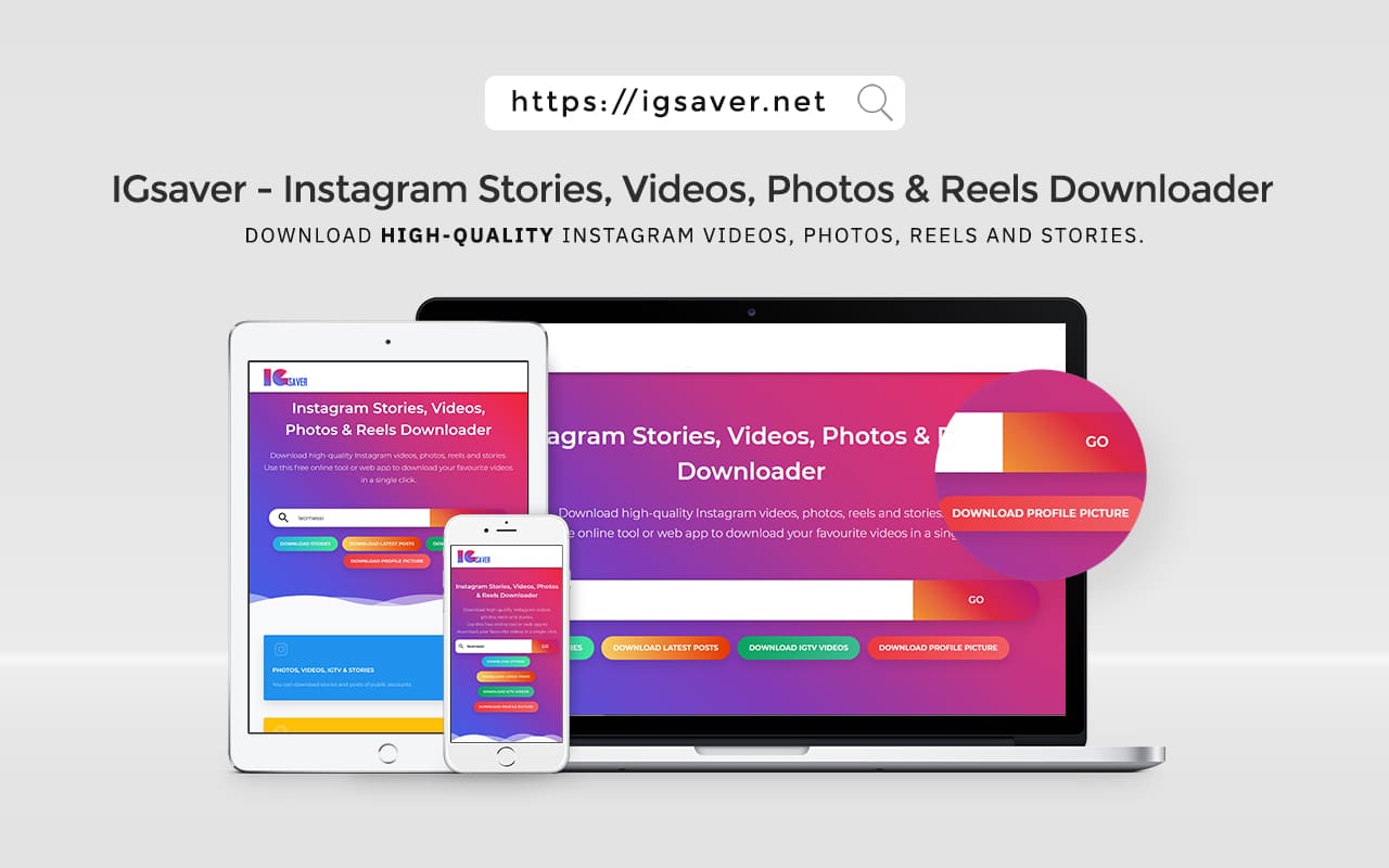 IGsaver.net - Instagram Stories, Videos, Photos & Reels Downloader