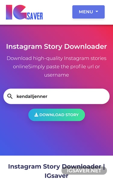 instagram download story online